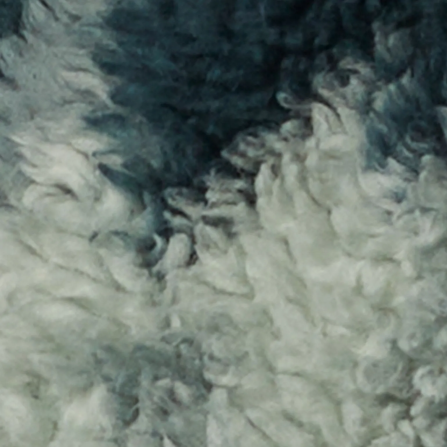 Columbia Winter Pass Print Fleece Full Zip
