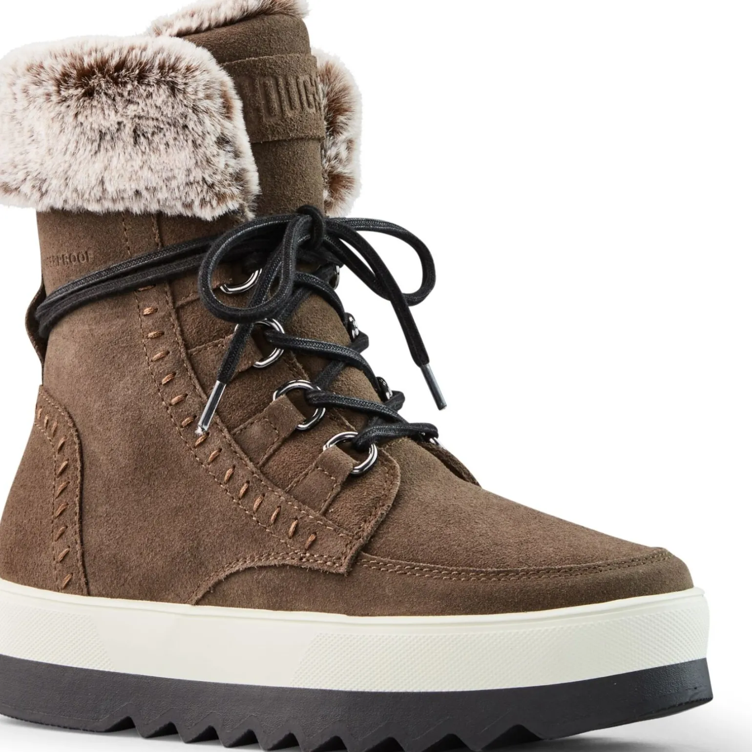 Cougar Vanetta Suede