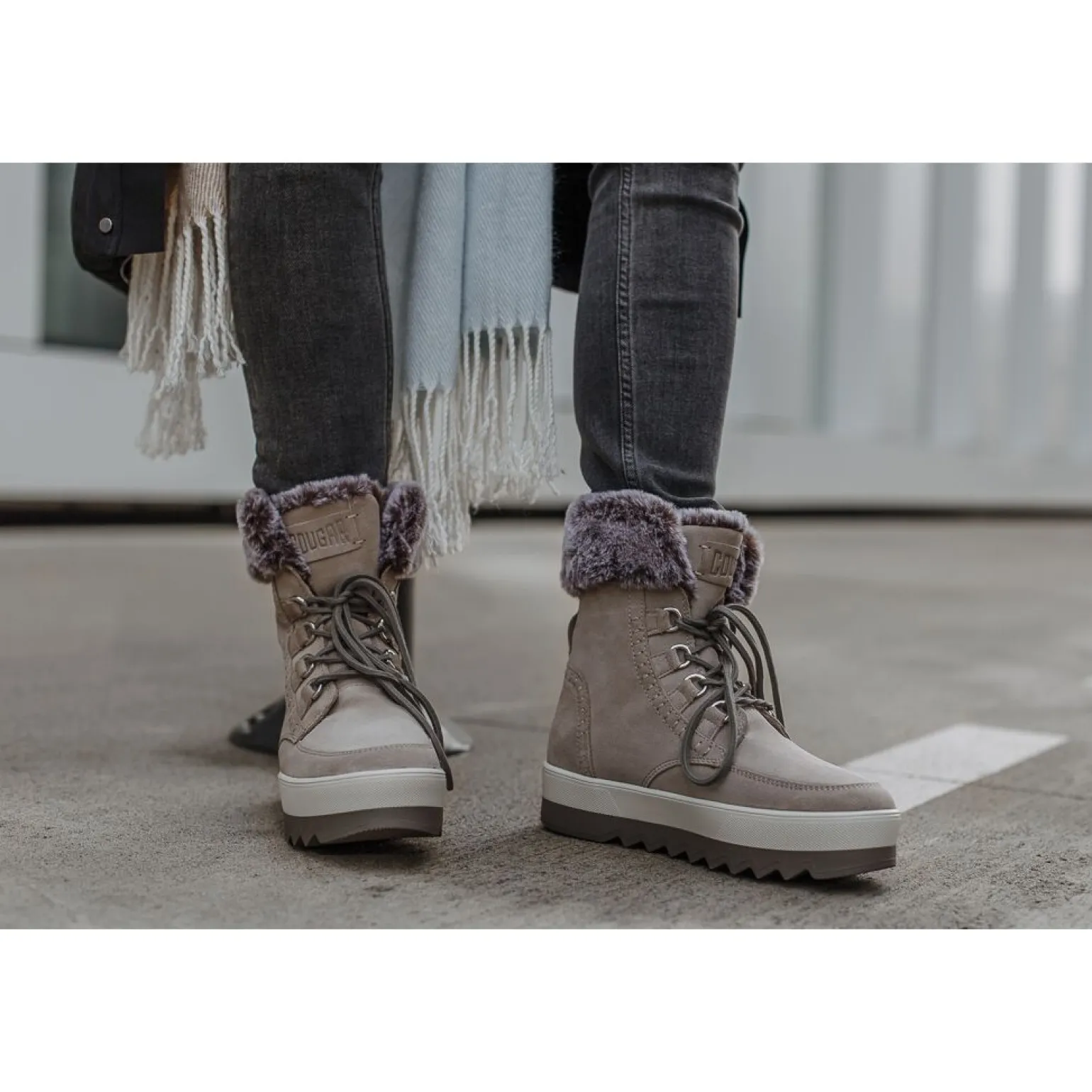 Cougar Vanetta Suede