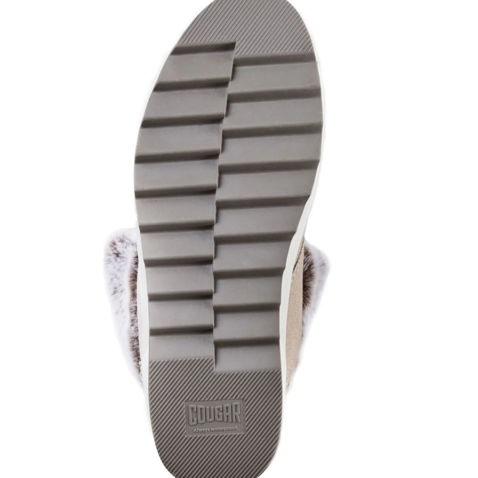 Cougar Vanetta Suede