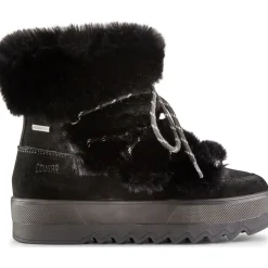 Cougar Vanity Suede