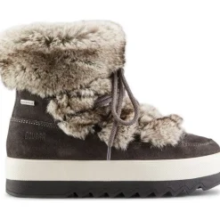 Cougar Vanity Suede