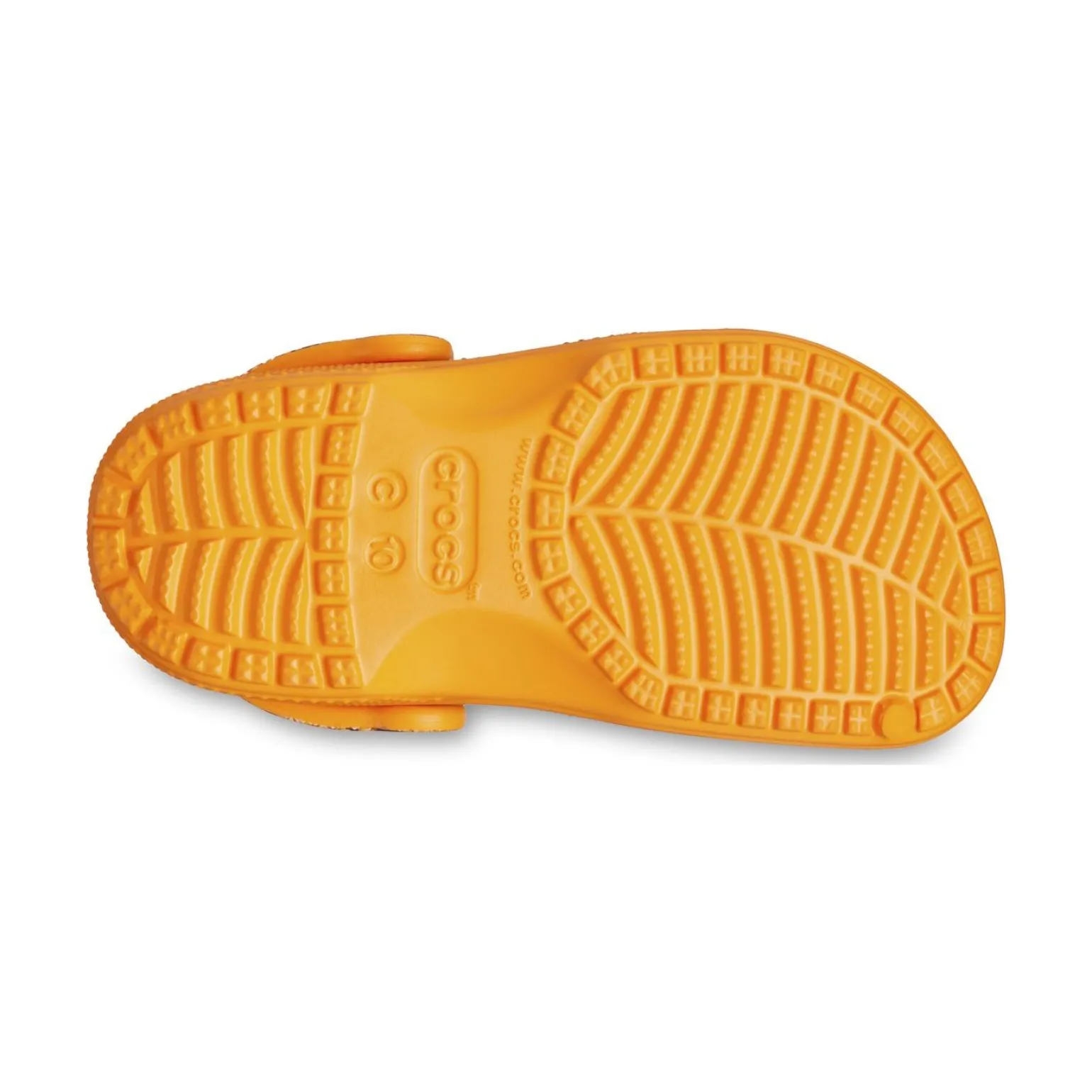 Crocs Jurassic World Classic Clog Kid's