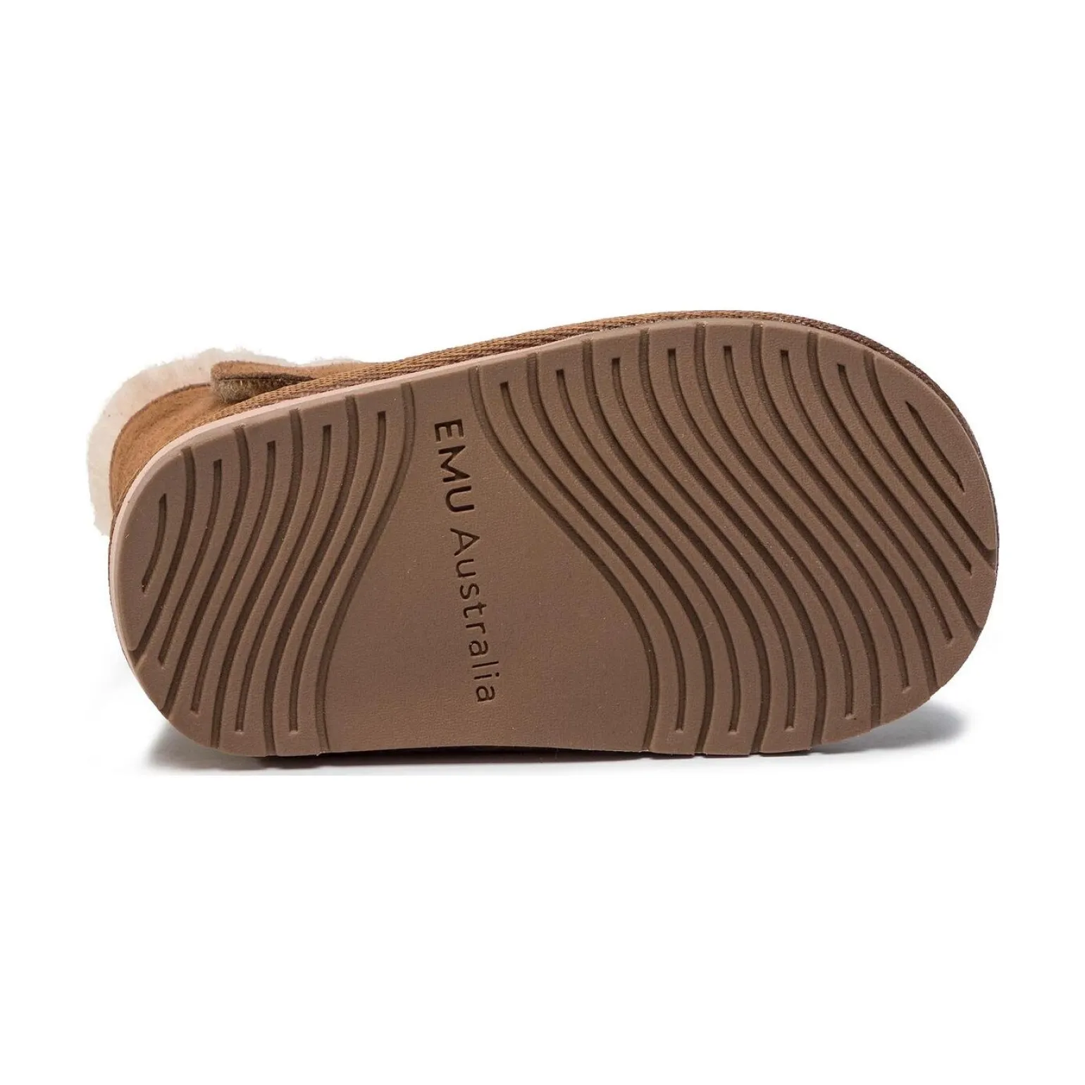 Emu Australia Deer Walker