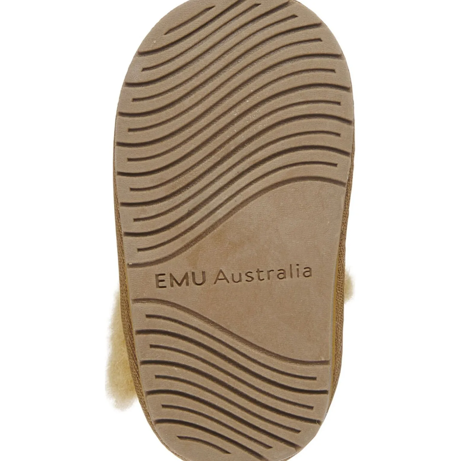 Emu Australia Lion Walker