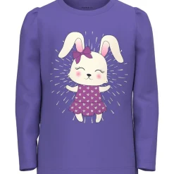 Name It Long Sleeved Top 13219940